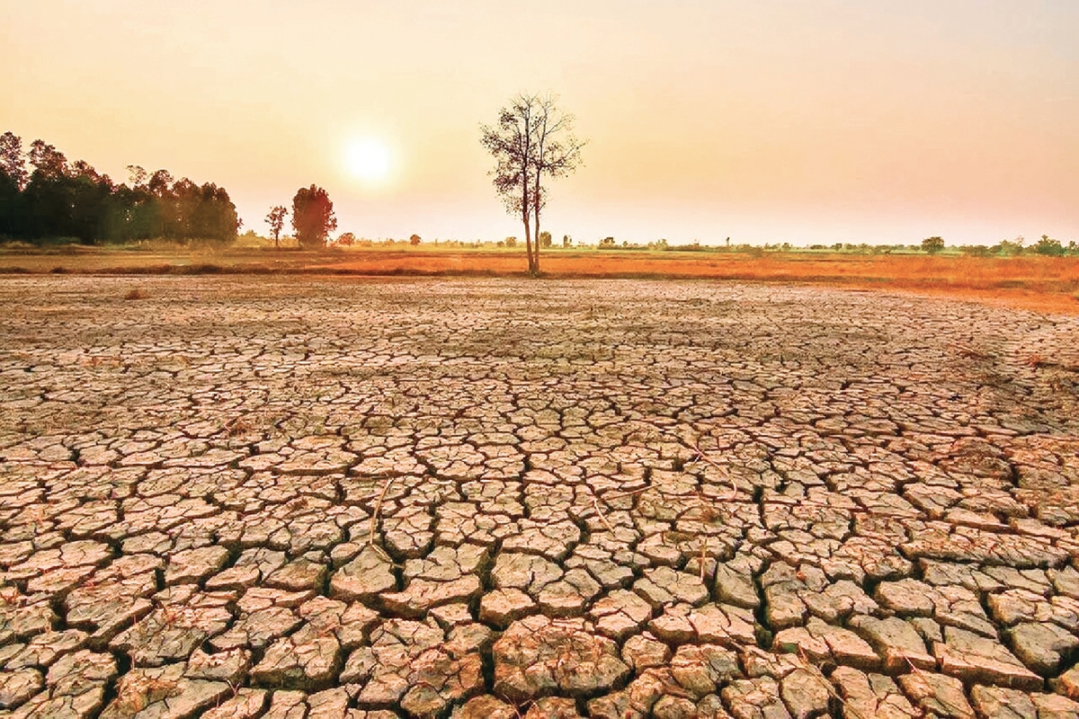 غافل از خشکسالی جهانی صدسال آیندهایم!