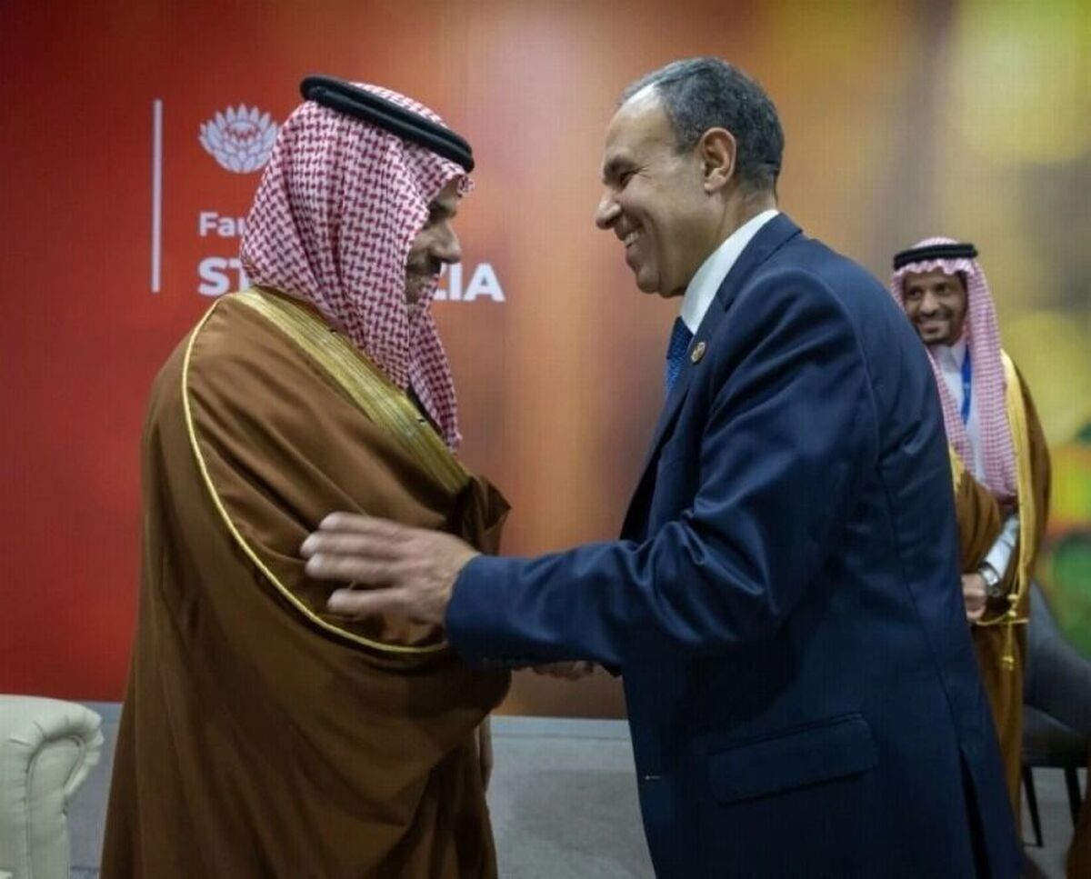 تحولات منطقه و جهان؛ محور گفت‌وگوی وزرای امور خارجه عربستان و مصر