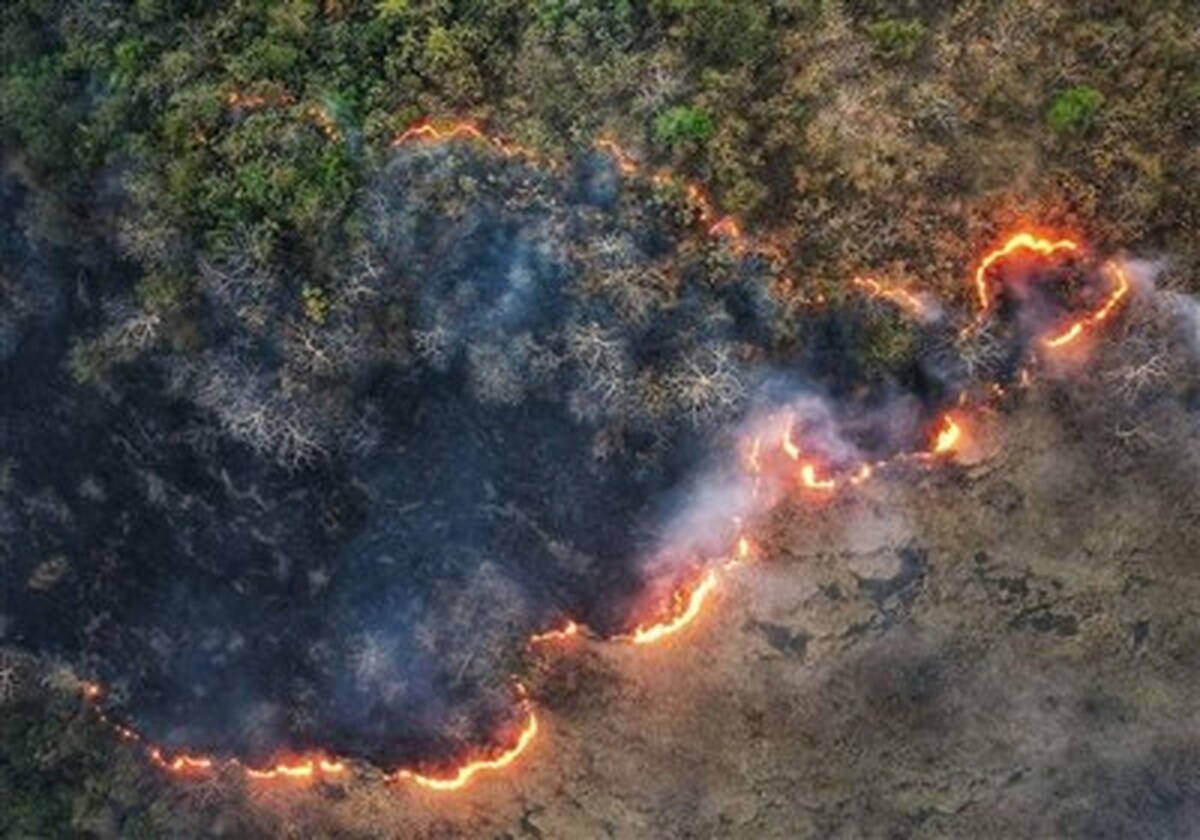 آتش‌سوزی‌های سریالی در جنگل‌های شمال ادامه دارد؛ این بار توسکستان!