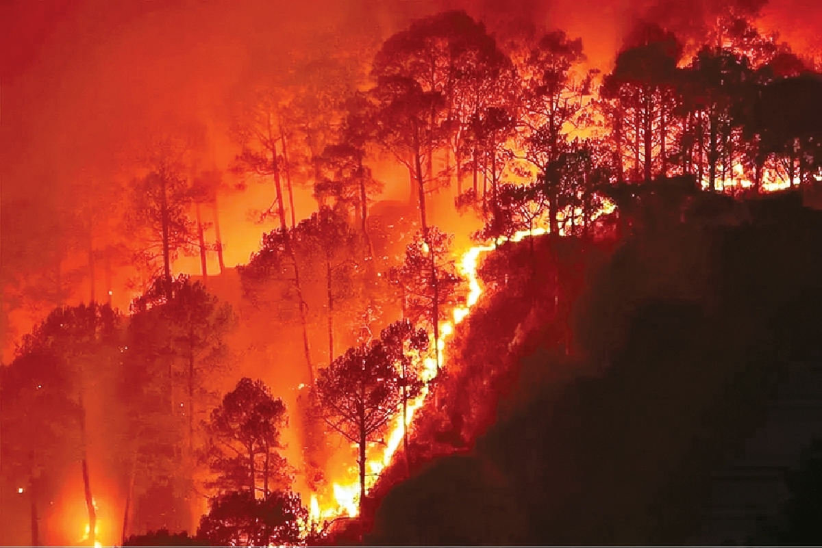 چهارچشمی مواظب آتش‌افروزان جنگلی باشید!