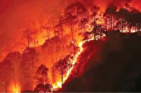 چهارچشمی مواظب آتش‌افروزان جنگلی باشید!