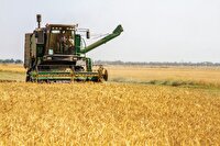 کاهش ۲۰میلیون تنی تولید محصولات کشاورزی