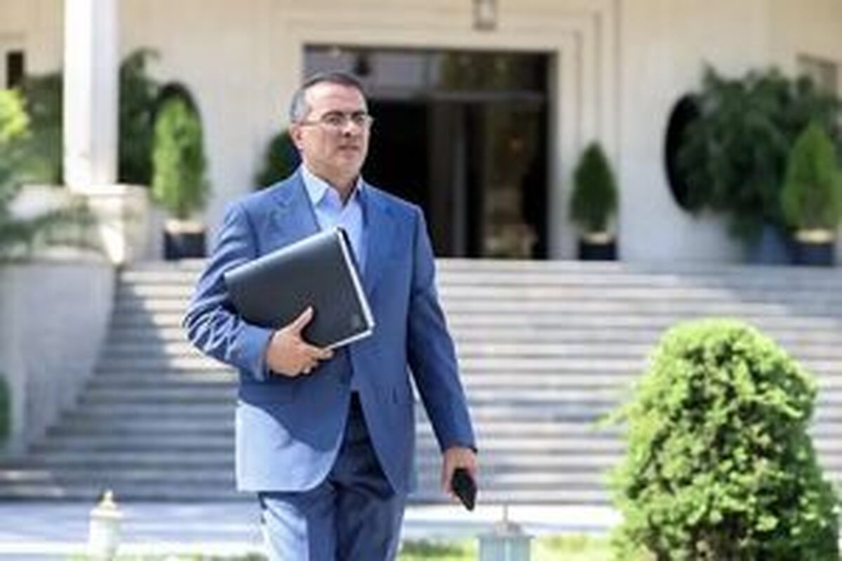 رفیع زاده: کوچک سازی دولت را پیگیری می‌کنیم