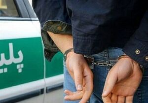 پلیس بین‌الملل فراجا ۲ متهم قتل را به کشورشان مسترد کرد