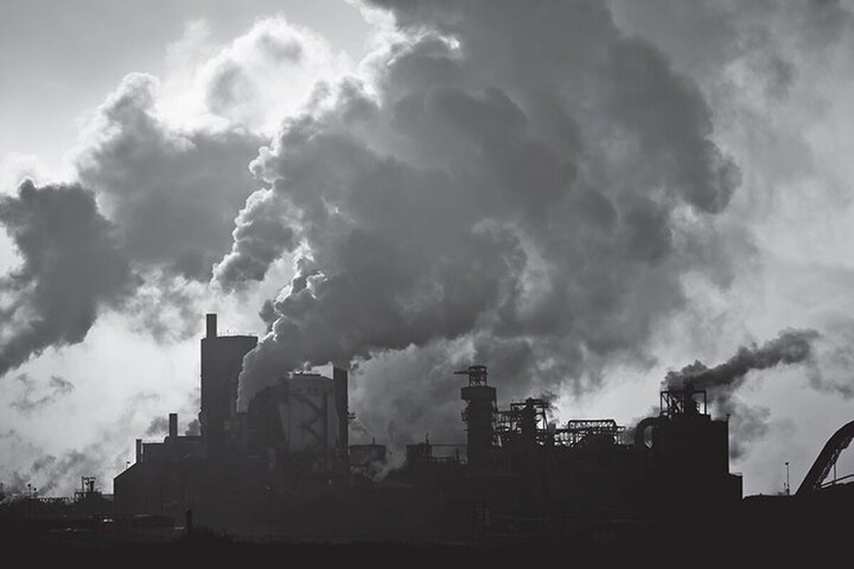 ۱۶ ابتکار جهانی برای کاهش آلودگی هوا؛ از شهر هوشمند تا جنگل‌های عمودی