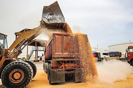 آشفتگی ارزی در سایه ضعف مدیریتی وزارت کشاورزی