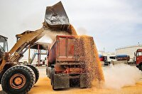 آشفتگی ارزی در سایه ضعف مدیریتی وزارت کشاورزی