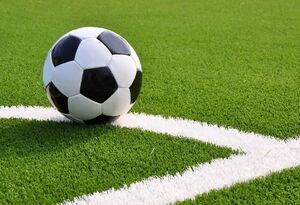 قطعا تیم ملی فوتبال دیدارهای تدارکاتی قوی خواهد داشت