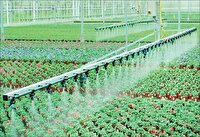 تجاری‌سازی گیاهان دارویی خراسان‌جنوبی با آب‌های نامتعارف