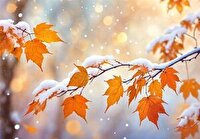 هشدار نارنجی بارش برف و باران در ۲۰ استان