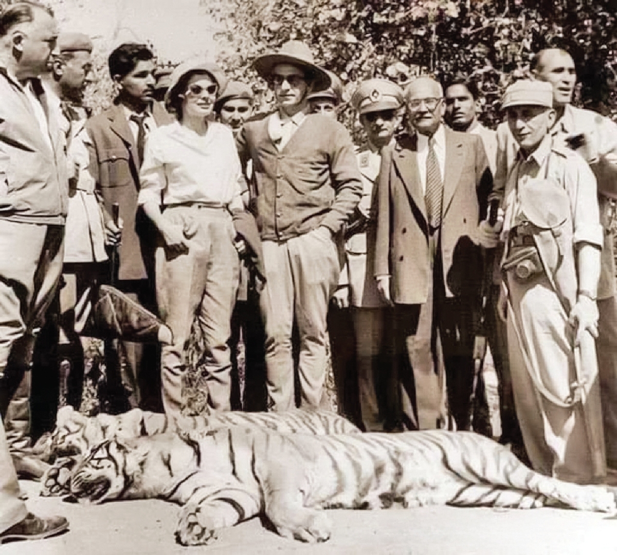 پهلوی شکارچی محیط زیست!