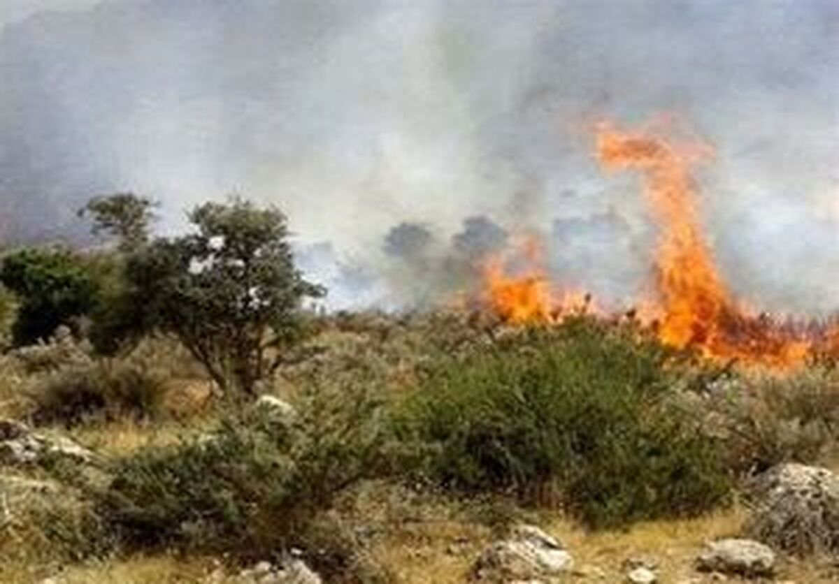 تازه‌ترین اخبار از عملیات اطفای حریق جنگل‌های الیت/ دامنه آتش محدود شد/