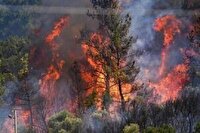 استفاده از ماهواره‌ خیام برای مهار آتش‌سوزی جنگل‌های هیرکانی