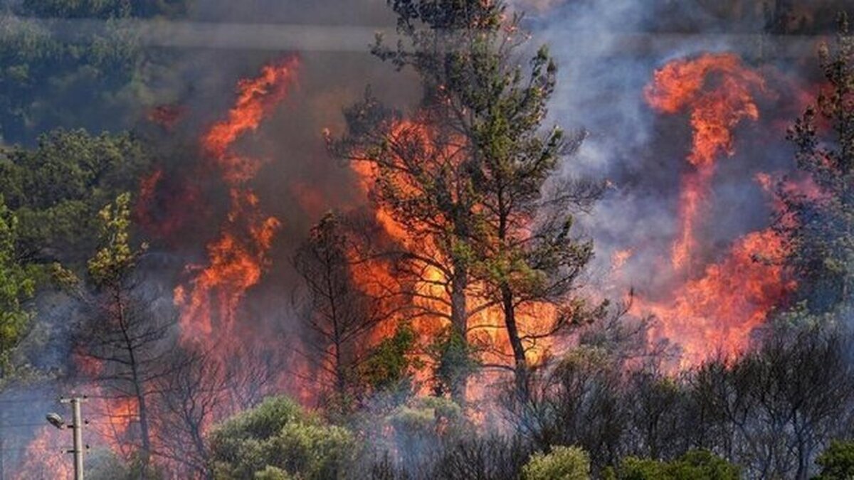 گسترده‌ترین عملیات اطفای حریق کشور در الیت چالوس؛ استفاده همزمان از ۲ ایلوشین ۴۰ تنی