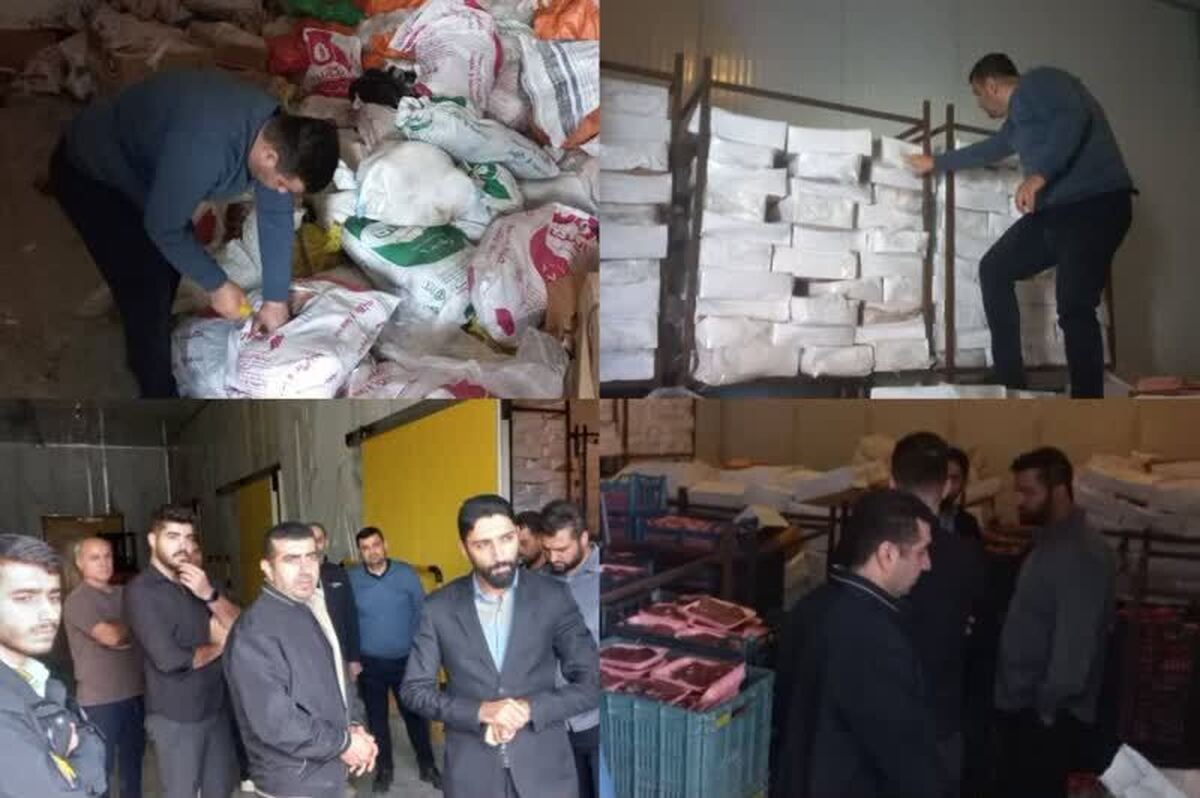 کشف و ضبط ۵۵ تُن محموله بزرگ آلایشات دامی و طیوری تاریخ مصرف گذشته در گلستان