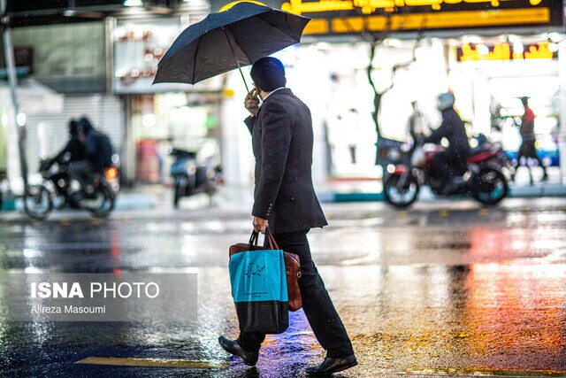 باد و باران در نقاط مختلف تهران