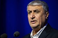 اسلامی: ۲۰ رادیودارو در فاز تحقیقات داریم