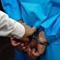 دستگیری اعضای باند موبایل قاپی و اعتراف به ۵۰ فقره سرقت