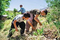 آشنایی فرزندان با آموزههای سبک زندگی سنتی آنان را صرفهجو میکند