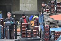 کنترل قیمت و کیفیت اقلام یلدایی در میادین میوه و تره‌بار