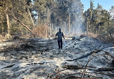 مهار آتش الیت/ هیچ شعله آتشی دیگر از جنگل‌های الیت زبانه نمی‌کشد