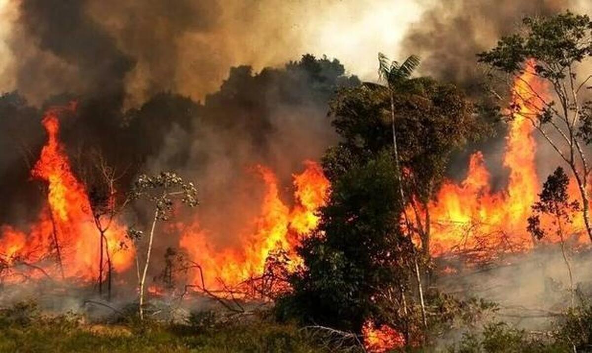 دستور رئیس سازمان بازرسی برای برخورد با مقصرین آتش سوزی جنگل‌های هیرکانی