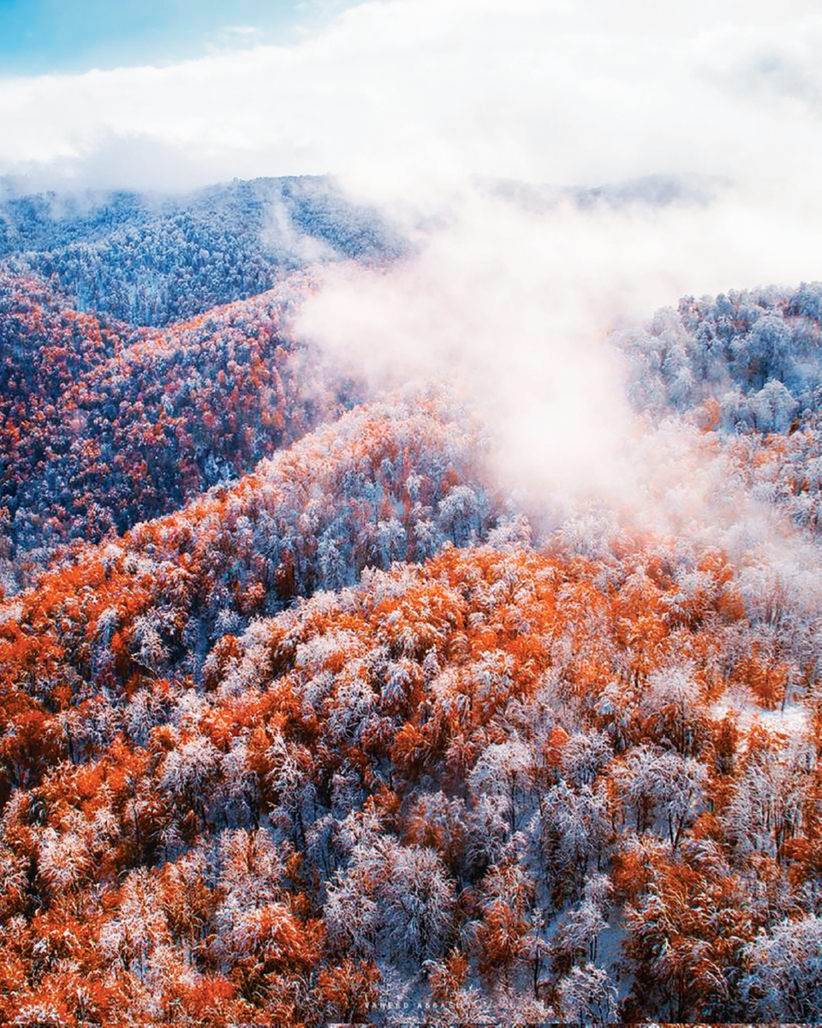 هیرکانی با هواپیما‌های سپاه و کمک مردم اطفا شداما سوزش ضدانقلاب نه