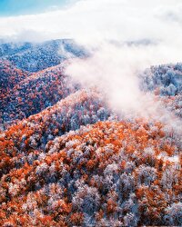 هیرکانی با هواپیما‌های سپاه و کمک مردم اطفا شداما سوزش ضدانقلاب نه