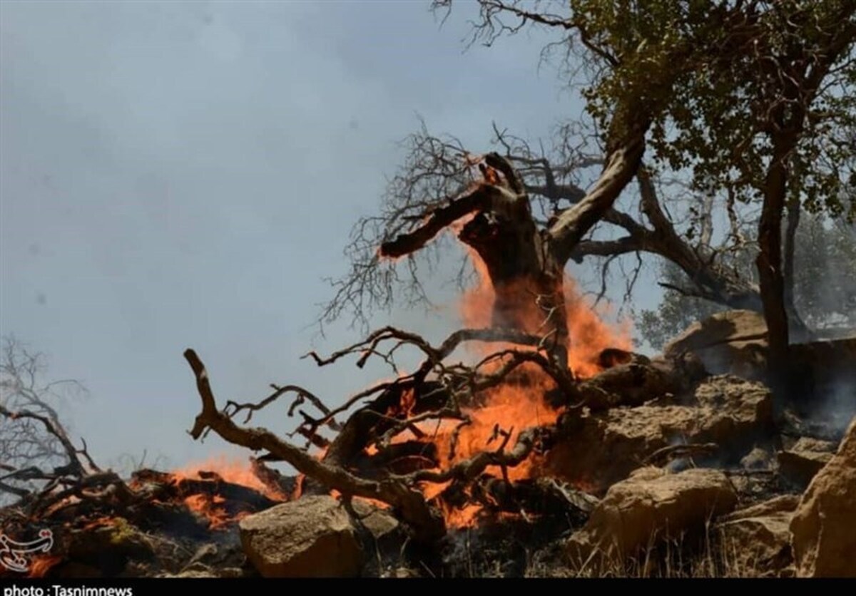 آخرین وضعیت آتش‌سوزی جنگل‌های هیرکانی/ وجود ۴ نقطه بحرانی در شرق گلستان