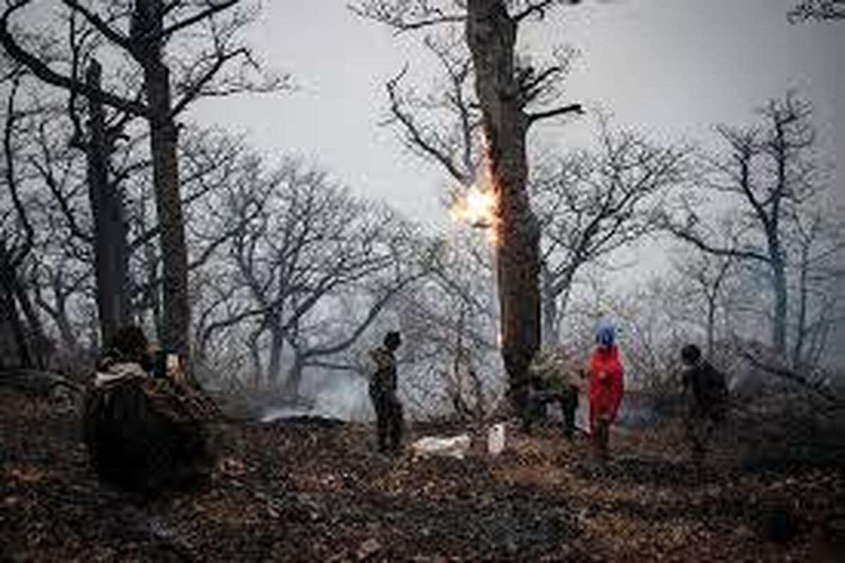 آتش‌سوزی اخیر حدود ۱۰ هکتار از اراضی جنگلی الیت چالوس را نابود کرد