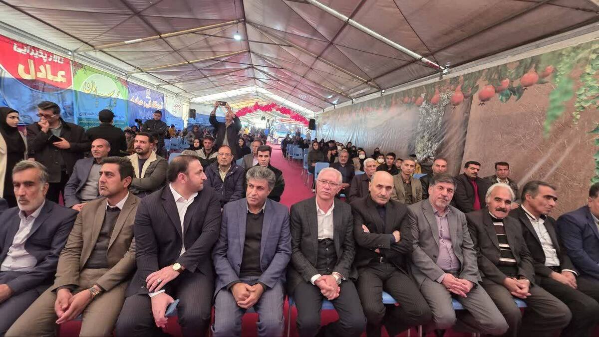 جشنواره ای به رنگ یاقوت و شیرین به مثابه عسل