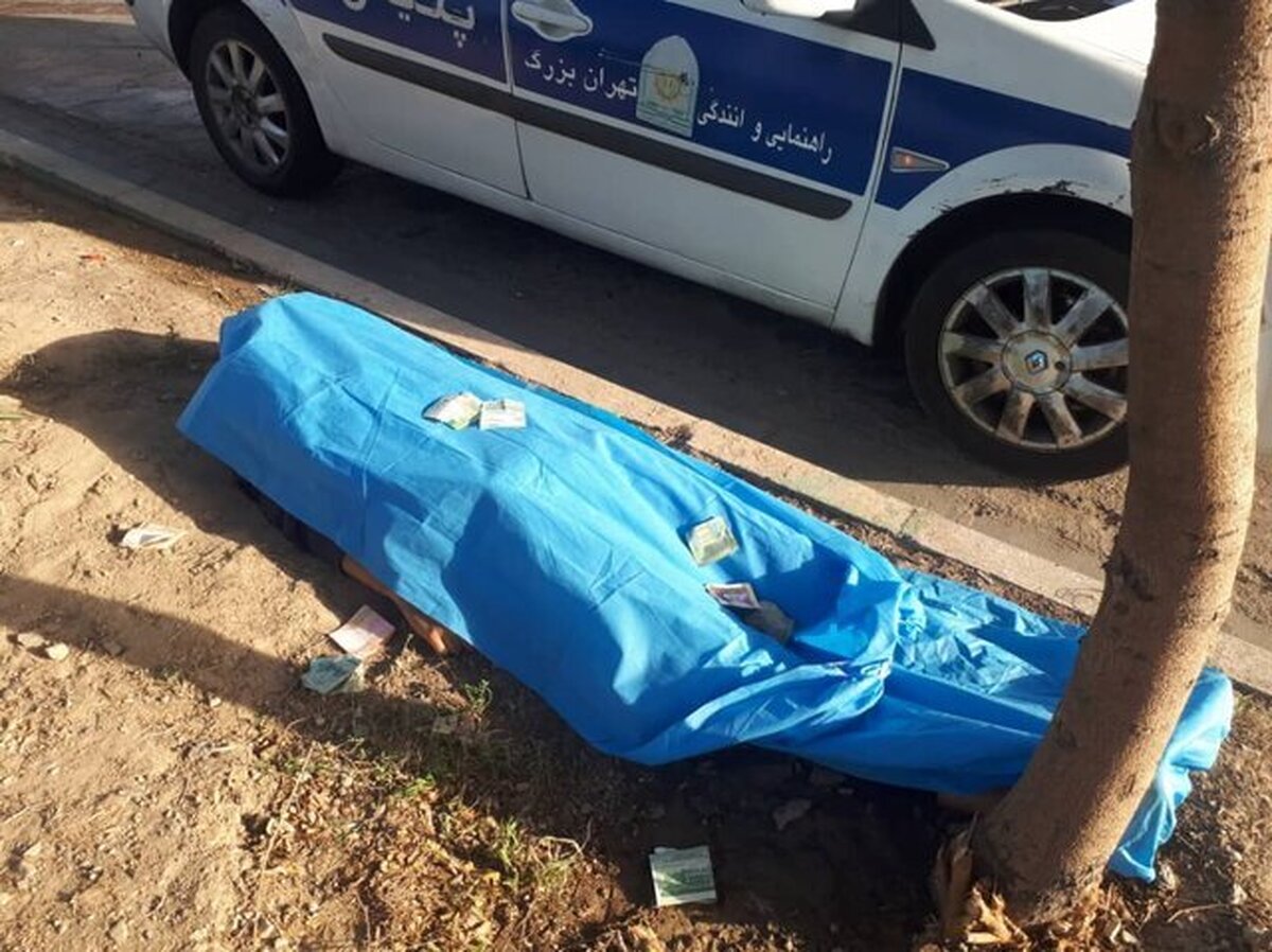 یک قلاده سگ، عامل تصادف مرگبار و فوت عابر پیاده در بزرگراه لشگری