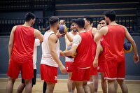 پیش به سوی سانیا