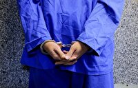 بازداشت زن عامل همکاری با دشمن آمریکایی ـ صهیونیستی در شاهرود