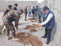 در پویش «سرو ایران» در استان‌ سمنان ۱۲ هزار اصله نهال توزیع و کاشته شد