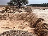 خسارت ۶۶۰۰ میلیارد ریالی سیل و تگرگ به کشاورزی سمنان