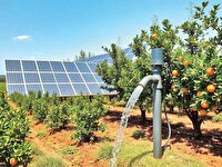 سهم مددجویان از منابع وام اشتغال مشخص شود