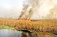 حقابه؛ سپر دفاعی تالاب در گرما