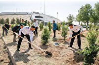 ریشه در خاک