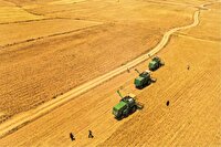 خوشه‌های طلایی هم به کمک مردم می‌آید