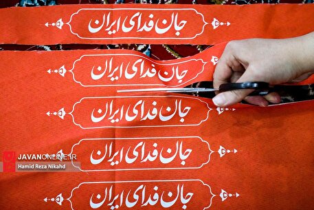 بانوان پای کار ایران