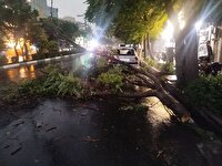 اورژانس: طوفان در تهران چهار مصدوم بر جا گذاشت