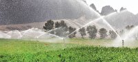 نجات کشاورزی از تشنگی با تغییر الگوی کشت و آبیاری نوین