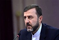 حقوق بشر در قاموس آمریکا تا زمانی محترم است که به رژیم اسرائیل نرسد