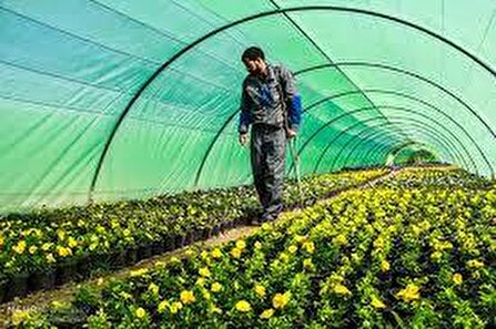 پرداخت تسهیلات ویژه حفظ اشتغال در استان البرز