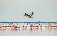 قوپی باباعلی؛ سفر به بهشت آبی مهاباد