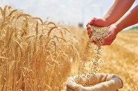 آجر کردن نان نان‌آوران با جهاد کشاورزی!