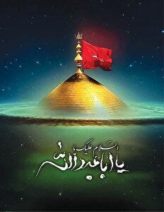 سیدالشهدا (ع) در اکثر احوال در حال سکوت، فکر و عبودیت بوده‌اند