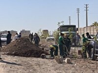 کاشته بیش از ۸۵۰ اصله درخت در مسیر حلقه دره کرج