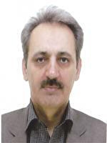 در سوگ علمدار حکیم انقلاب